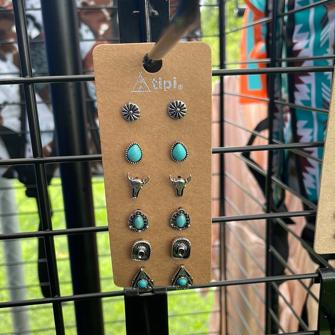 6 Pack Earrings